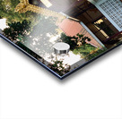 Dog Going to Temple Acrylic print