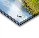 Beautiful Rice Field Acrylic print