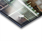 Dogs looking Left Acrylic print