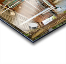 Hippie House 2 Acrylic print