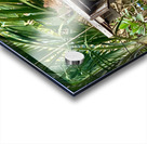 Full House Kitty Cat Acrylic print