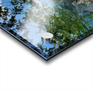 Mountain Path Acrylic print