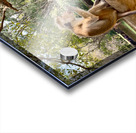 Monkey on a Branch Acrylic print