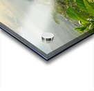 Purple Flowers for Sunset Acrylic print