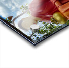 The Monkey and the Monk Acrylic print