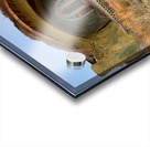 Special House on the Beach Acrylic print