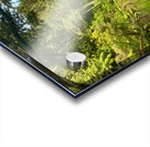 The Red Bridge Acrylic print