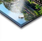 Train Bridge Acrylic print