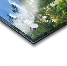 The Pink Train Acrylic print