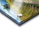 Vagabond Dog Impression Acrylique