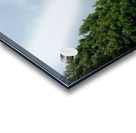 Foggy Forest Acrylic print