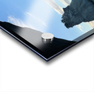 Cathedral Cove New Zealand 4 Acrylic print