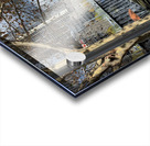 Yarra River in Melboune 3 Acrylic print