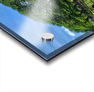 Giant Raintree 2 Acrylic print