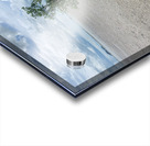 Lonely Tree 3 Acrylic print