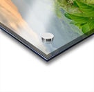 Purple Flowers for Sunset 2 Acrylic print