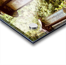 Old Lanterns Acrylic print