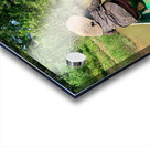 Lady Paddling Acrylic print