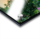 Bangkok Waterway Acrylic print