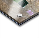 Bathroom Wall Acrylic print