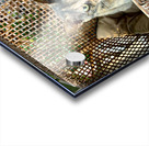 Dating a Cat Acrylic print