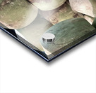 Coconut Stack Acrylic print