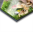 Rooster Bike Acrylic print