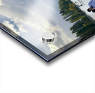 Newlyweds by the Wanaka Tree Impression Acrylique