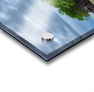 Mangroves Acrylic print