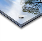 The Wanaka Tree New Zealand 2 Acrylic print