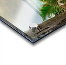 A Peak at the Beach Acrylic print