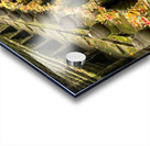 Bali Holy Water Acrylic print