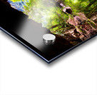 Cave Reflections Acrylic print