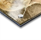 Hello Piggy Acrylic print