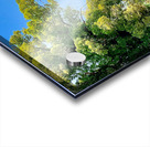 Little White Temple Acrylic print