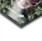 Mama Monkey Acrylic print