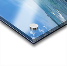 Middle Rock Ocean Acrylic print