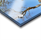 Phanom Rung Historical Park Thailand 2 Acrylic print