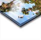 Palm Trees on the Hills Acrylic print