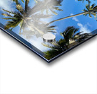 Palm Trees behind the Wall Acrylic print