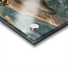 Plenty of Colorful Fish Acrylic print