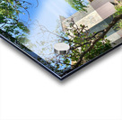 Bungalow with a Nice View Acrylic print