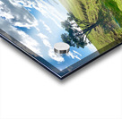 Beautiful Scenery Acrylic print