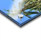 Palm Trees 2 Acrylic print