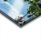 Palm Tree Road Acrylic print