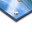 Sharks Island Koh Tao Thailand Acrylic print