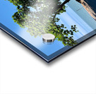 Tree in the Curve Acrylic print