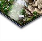 View on the Ocean Acrylic print