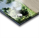 Coconut Shadow Acrylic print