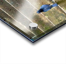 Bird Climbing the Stairs Acrylic print